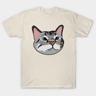 Tabby Cat T-Shirt